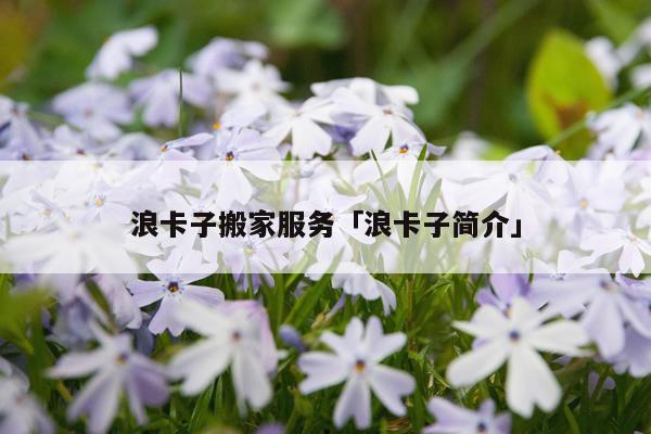 浪卡子搬家服务「浪卡子简介」