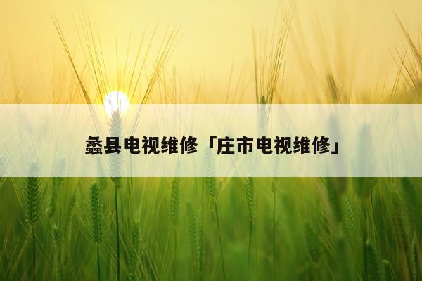 蠡县电视维修「庄市电视维修」