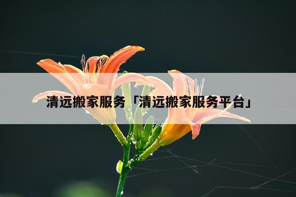 清远搬家服务「清远搬家服务平台」