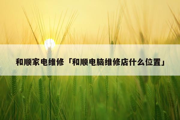 和顺家电维修「和顺电脑维修店什么位置」