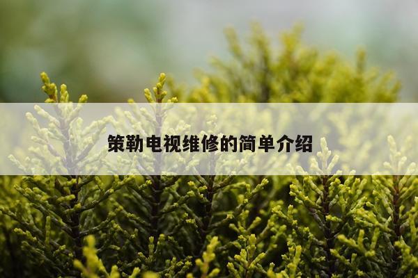 策勒电视维修的简单介绍