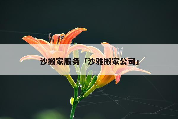 沙搬家服务「沙雅搬家公司」
