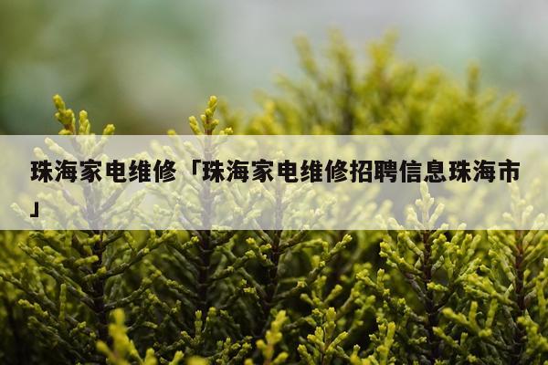 珠海家电维修「珠海家电维修招聘信息珠海市」