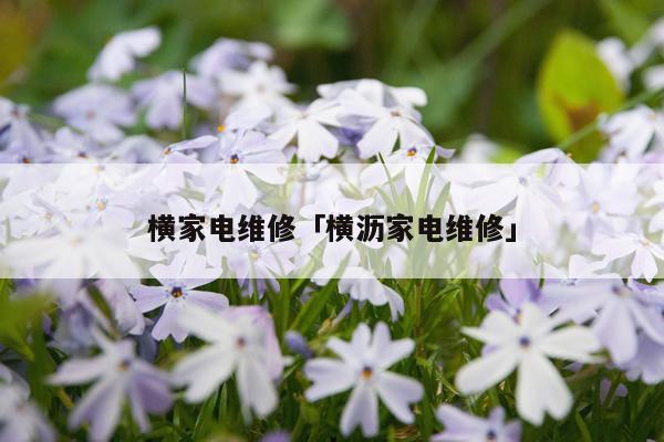 横家电维修「横沥家电维修」