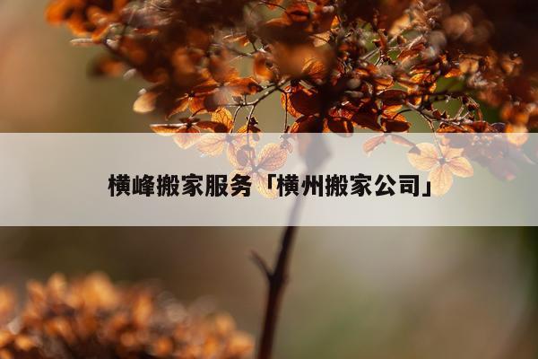 横峰搬家服务「横州搬家公司」