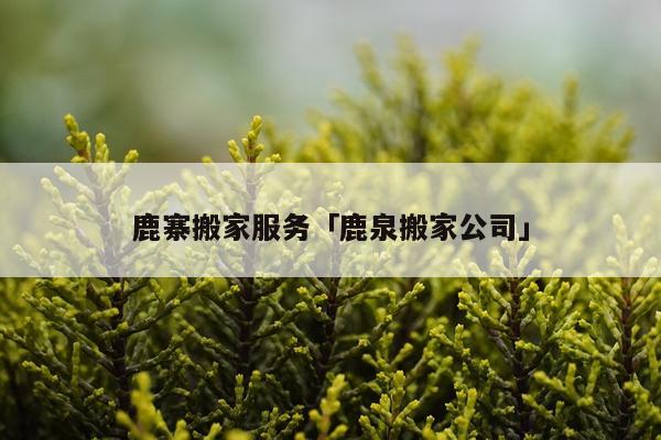 鹿寨搬家服务「鹿泉搬家公司」