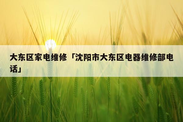大东区家电维修「沈阳市大东区电器维修部电话」