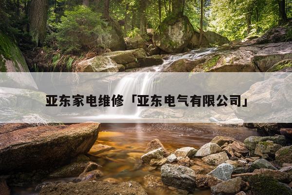 亚东家电维修「亚东电气有限公司」