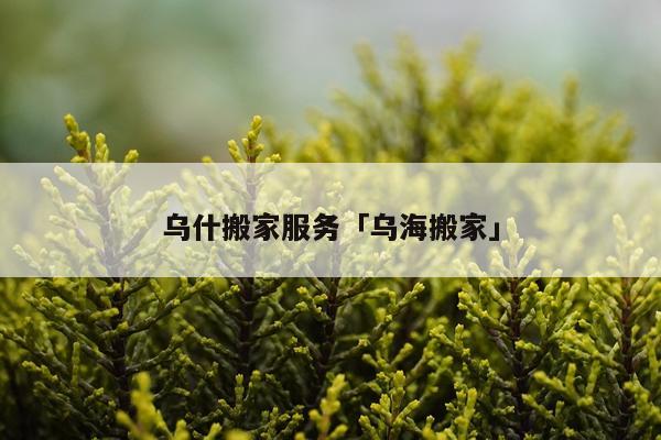 乌什搬家服务「乌海搬家」