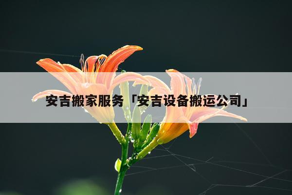 安吉搬家服务「安吉设备搬运公司」