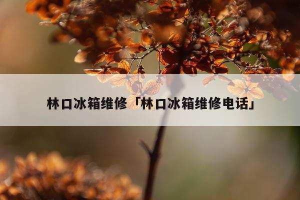 林口冰箱维修「林口冰箱维修电话」