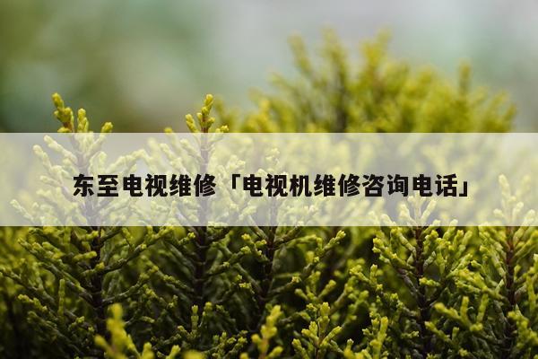 东至电视维修「电视机维修咨询电话」