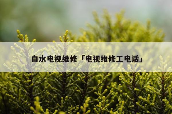 白水电视维修「电视维修工电话」