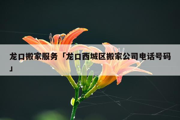 龙口搬家服务「龙口西城区搬家公司电话号码」