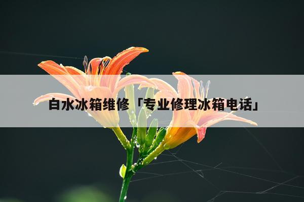 白水冰箱维修「专业修理冰箱电话」