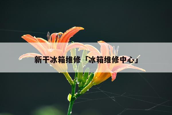 新干冰箱维修「冰箱维修中心」