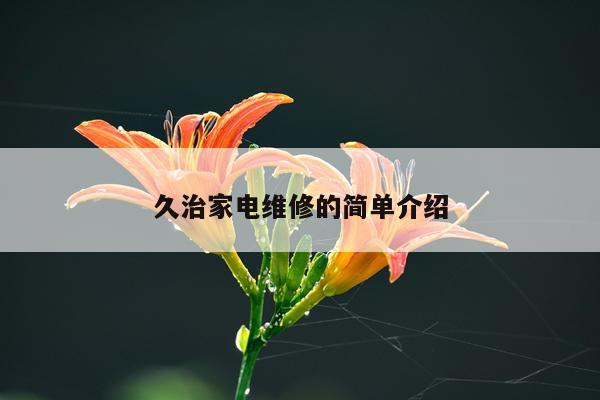 久治家电维修的简单介绍