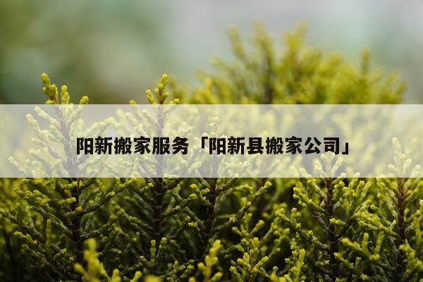 阳新搬家服务「阳新县搬家公司」
