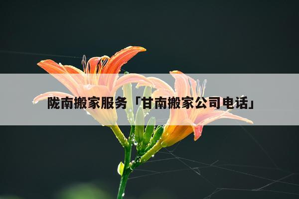 陇南搬家服务「甘南搬家公司电话」