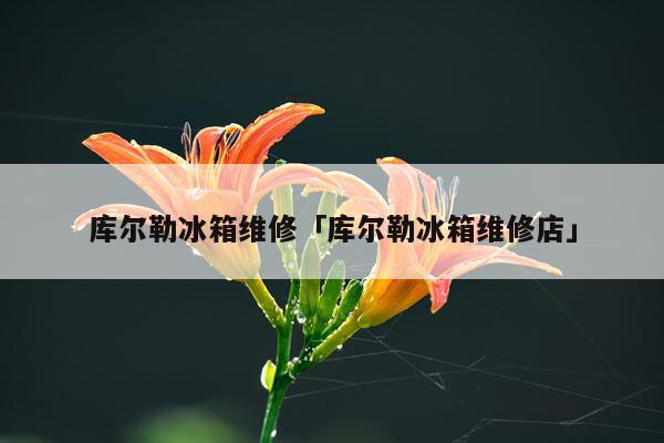 库尔勒冰箱维修「库尔勒冰箱维修店」