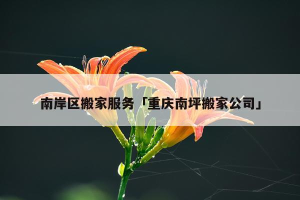 南岸区搬家服务「重庆南坪搬家公司」