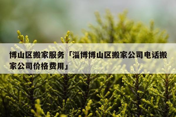 博山区搬家服务「淄博博山区搬家公司电话搬家公司价格费用」