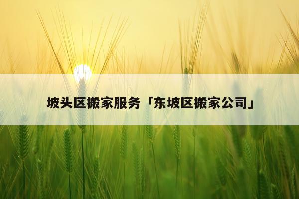 坡头区搬家服务「东坡区搬家公司」