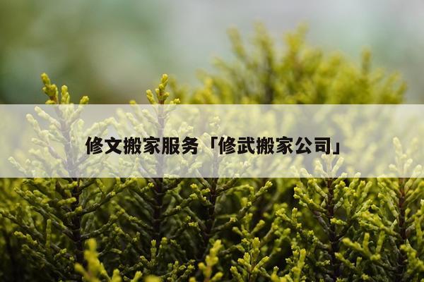 修文搬家服务「修武搬家公司」