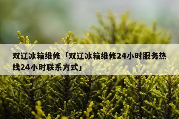 双辽冰箱维修「双辽冰箱维修24小时服务热线24小时联系方式」