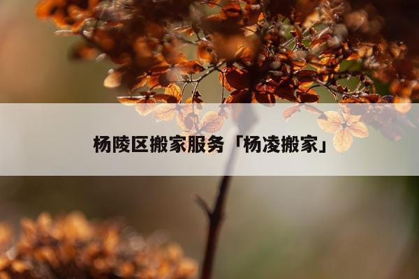 杨陵区搬家服务「杨凌搬家」