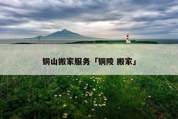 铜山搬家服务「铜陵 搬家」