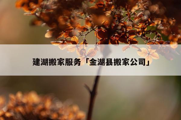 建湖搬家服务「金湖县搬家公司」