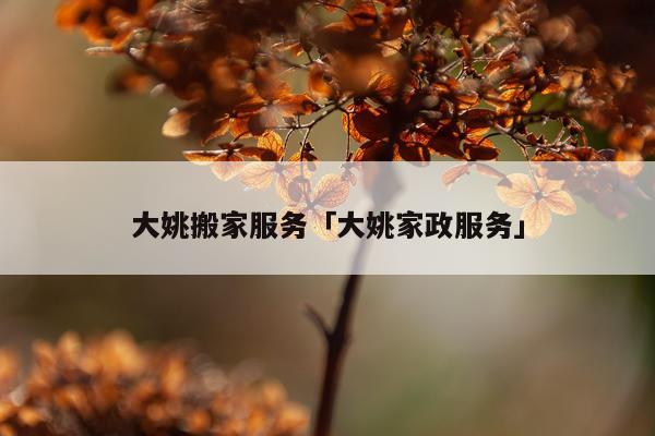 大姚搬家服务「大姚家政服务」