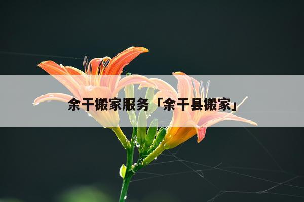 余干搬家服务「余干县搬家」
