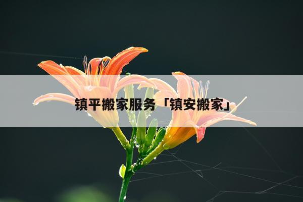 镇平搬家服务「镇安搬家」
