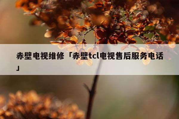 赤壁电视维修「赤壁tcl电视售后服务电话」
