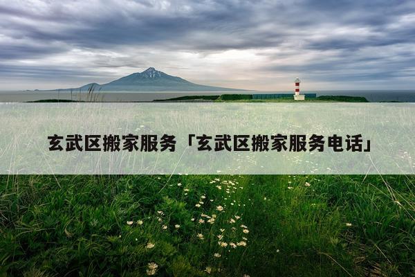 玄武区搬家服务「玄武区搬家服务电话」