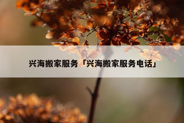 兴海搬家服务「兴海搬家服务电话」