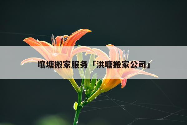 壤塘搬家服务「洪塘搬家公司」