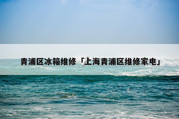 青浦区冰箱维修「上海青浦区维修家电」