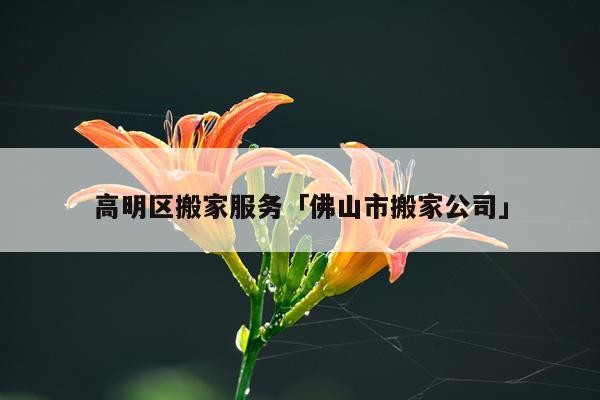 高明区搬家服务「佛山市搬家公司」