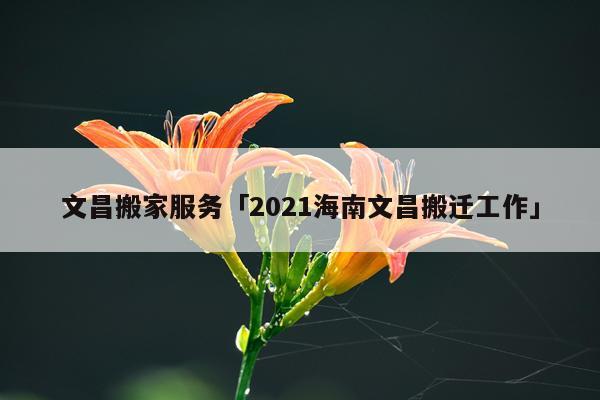 文昌搬家服务「2021海南文昌搬迁工作」