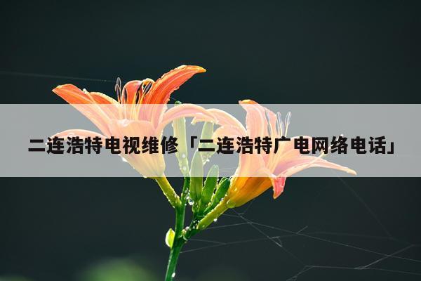 二连浩特电视维修「二连浩特广电网络电话」