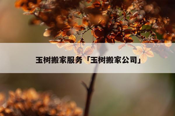 玉树搬家服务「玉树搬家公司」