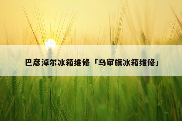 巴彦淖尔冰箱维修「乌审旗冰箱维修」