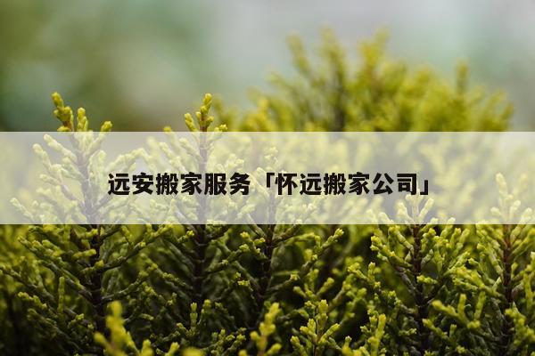 远安搬家服务「怀远搬家公司」