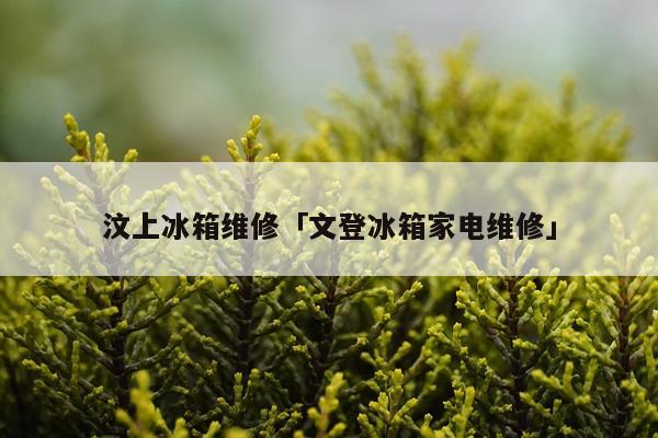 汶上冰箱维修「文登冰箱家电维修」