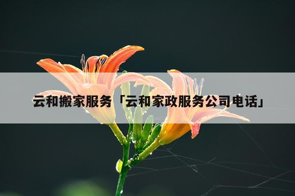 云和搬家服务「云和家政服务公司电话」