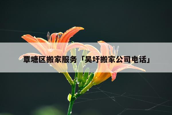 覃塘区搬家服务「吴圩搬家公司电话」