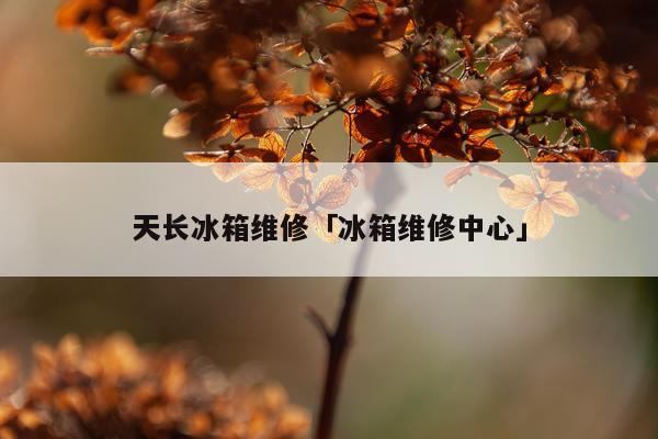 天长冰箱维修「冰箱维修中心」